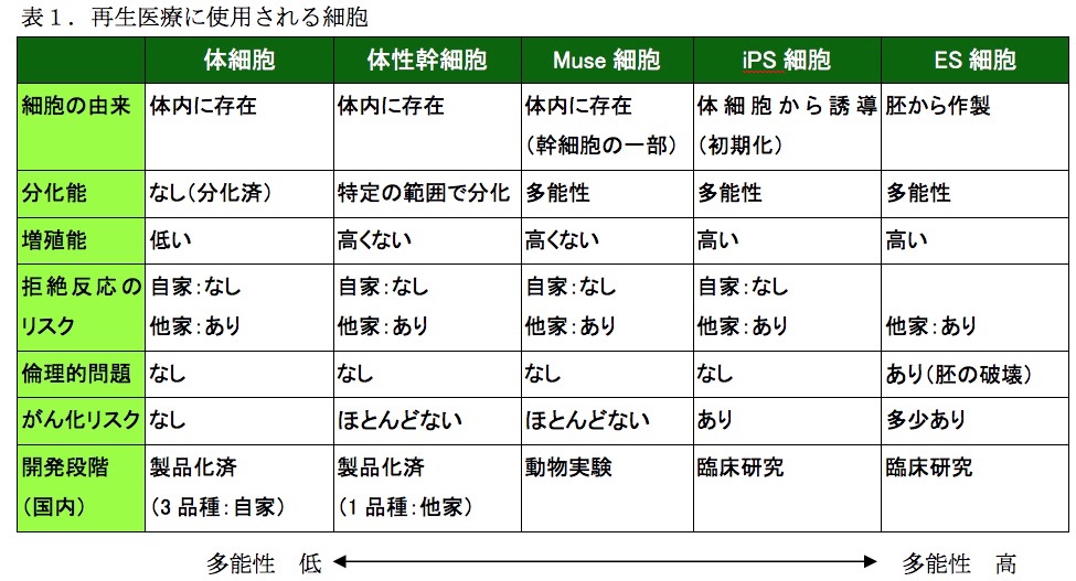 036 日本の再生医療 株式会社 Iblc