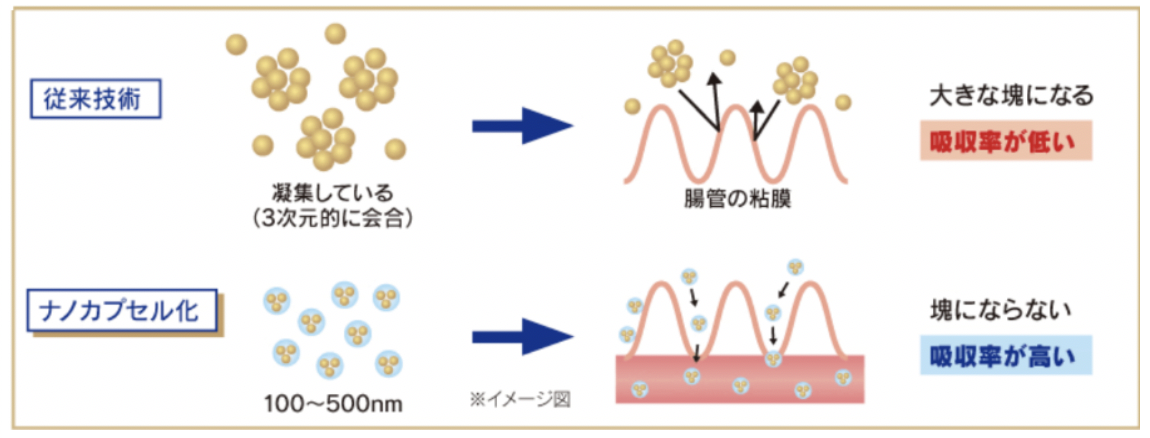 06 ナノサイズのカプセル化技術 株式会社 Iblc